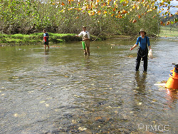 field work mussels