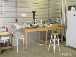 Work area at Mussel Lab